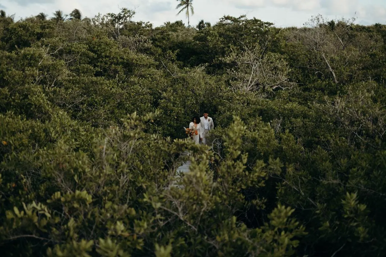 فندق Nativus Glamping & Cenote تولوم