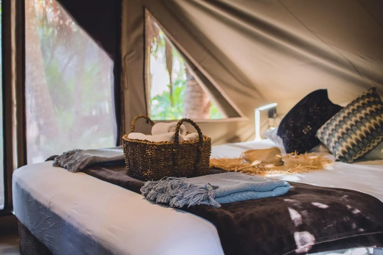 فندق Nativus Glamping & Cenote تولوم المكسيك