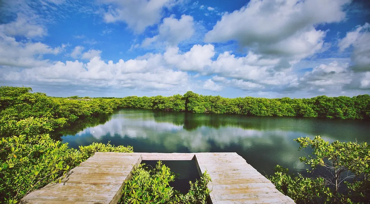 فندق Nativus Glamping & Cenote تولوم