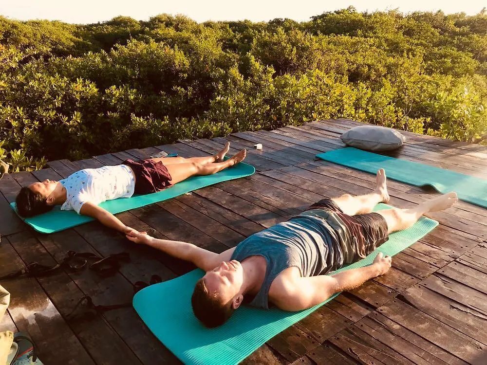 ***  فندق Nativus Glamping & Cenote تولوم المكسيك