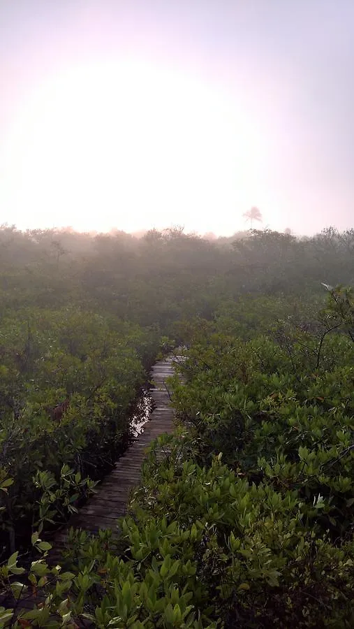 ***  فندق Nativus Glamping & Cenote تولوم المكسيك