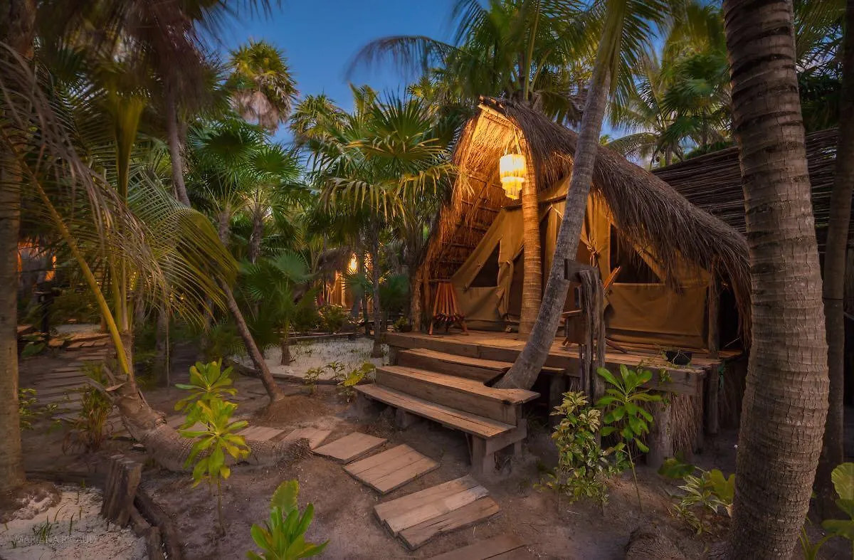 فندق Nativus Glamping & Cenote تولوم 3*,